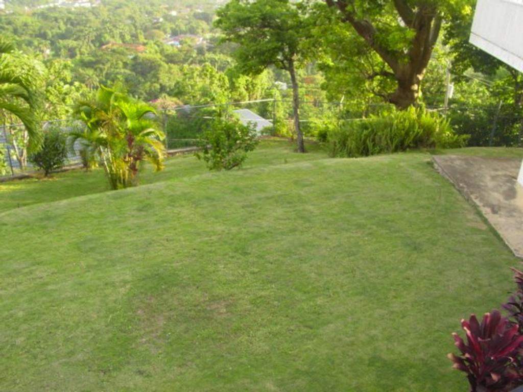 Hill Top Kingston Jamaica Esterno foto